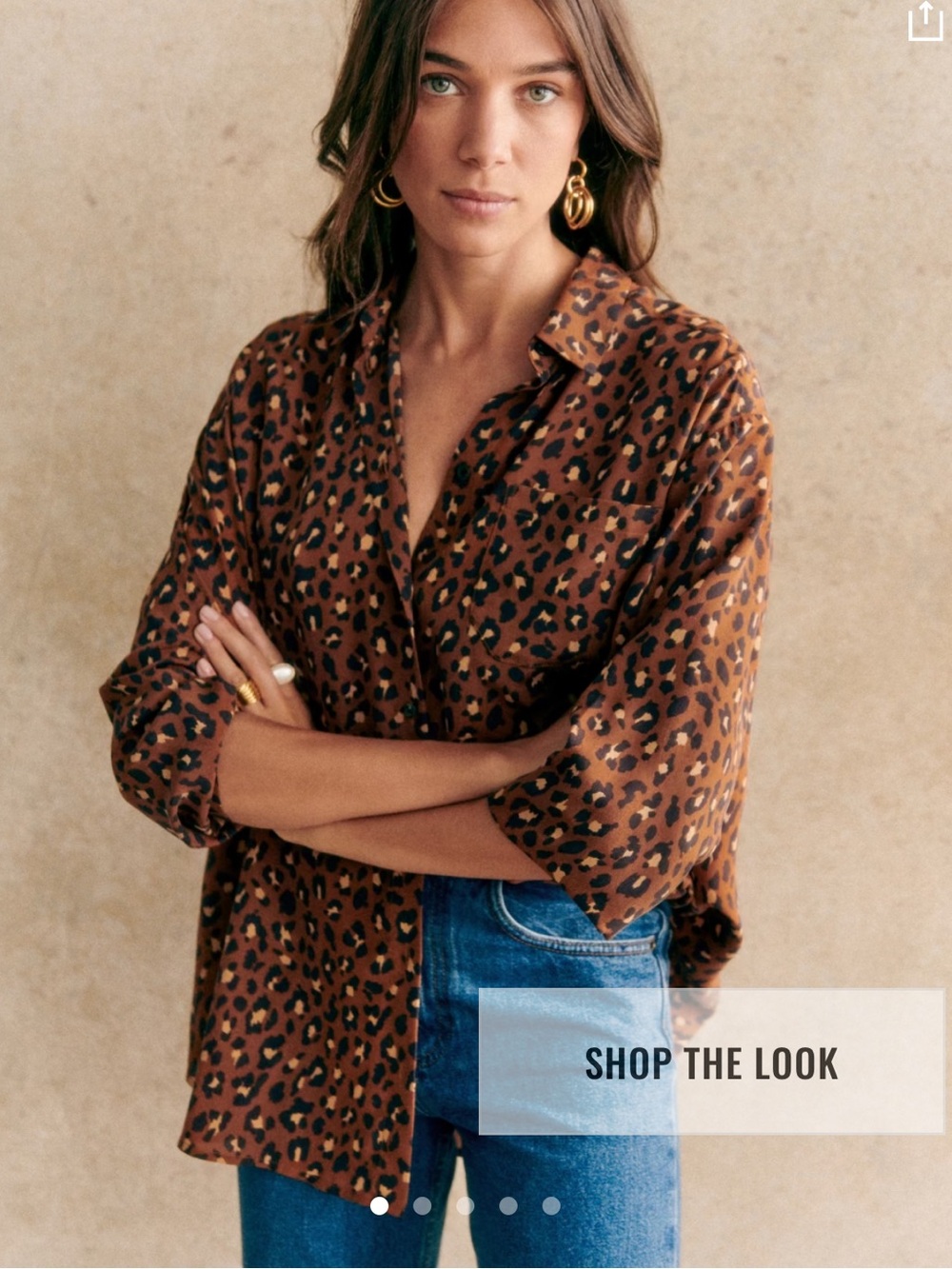 Sezane max Leopard silk blouse